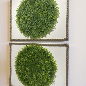Craft Green Botanical Wall Art Set